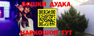 spice Партизанск